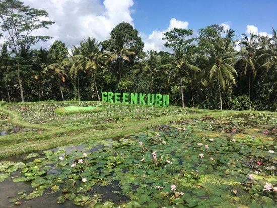 Green Kubu Cafe