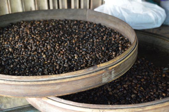 Agro Santi Coffee Plantation