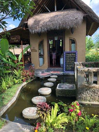 Dragonfly Cafe