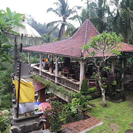 Uma Ceking Warung