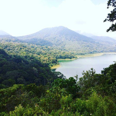Twin Lake View