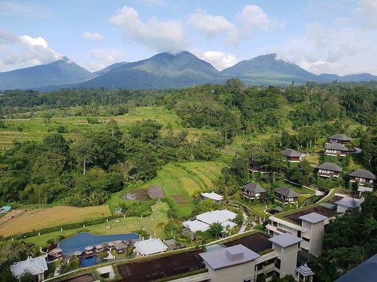 Saranam Eco Resort