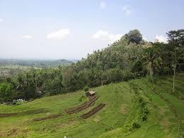 Bukit Jambul