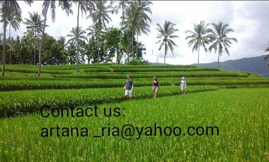 Mayong Cultural Walk