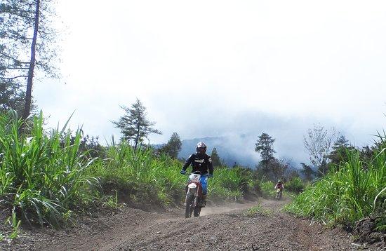 Bali Wilderness Dirt Bike - Day Tours