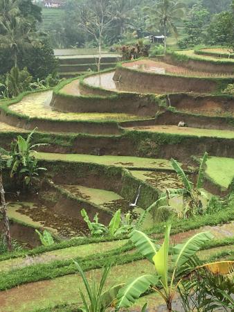 Bali Bike Tour