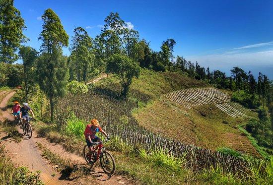 Bali Rides