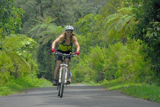 CocosTravel - Day Tours