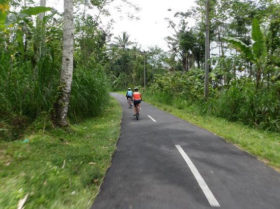 BaliGoBike - Bali Cycling Tours