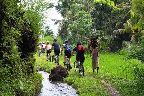 Bali Hai Bike Tours