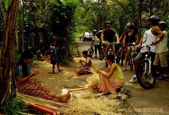Bali Breeze Tours