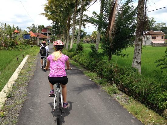 Ubud Bali Bicycle Tours - Private Tours
