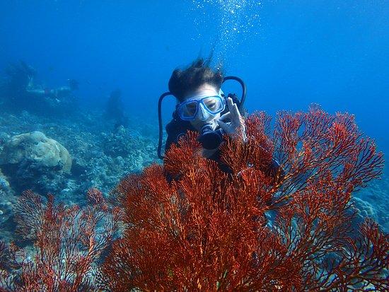 Baruna Dive Bali