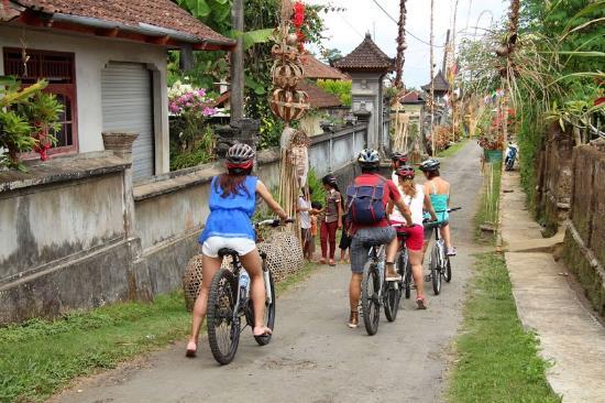 Bali Countryside Cycling Tour