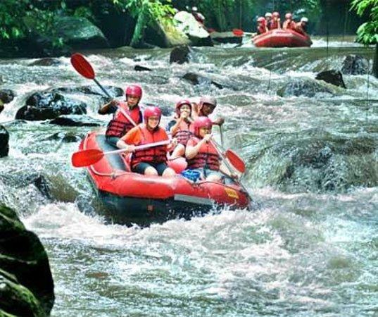 Sari Profit Rafting