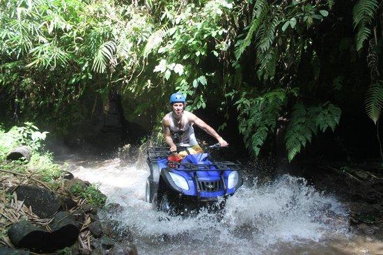 Bali Taro Adventure