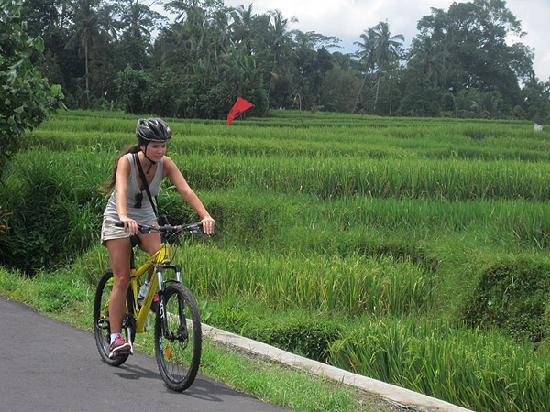 Bali Bike Adventures