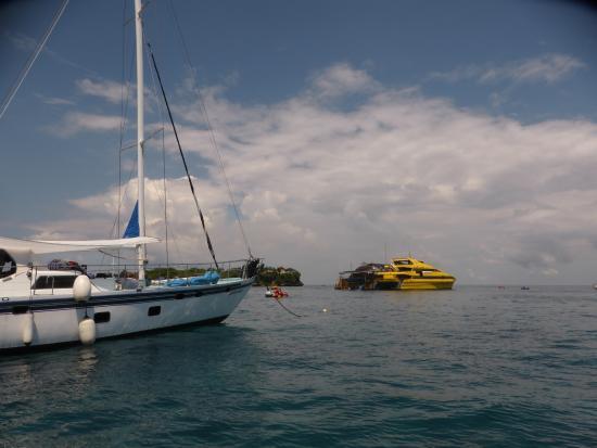 Island Explorer Cruises - Day Tours