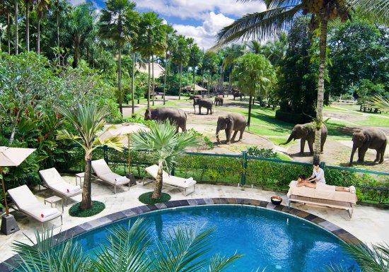 Elephant Safari Park