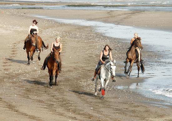 Bali Horse Adventure