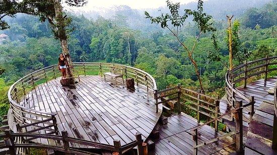 Bali Pulina Coffee Plantation