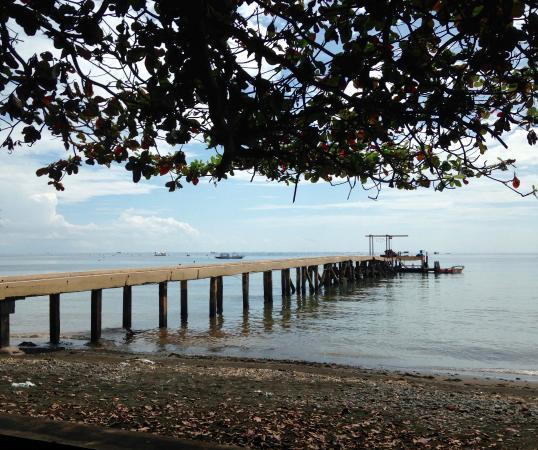 Atlas Pearl Farm
