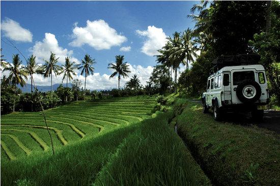 WakaLandCruise