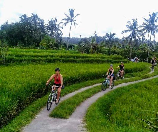 Bailando Tours Bali