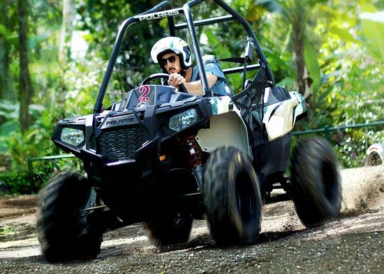 Mason Jungle Buggies