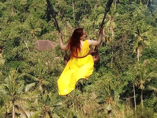 Jalak Bali Tour