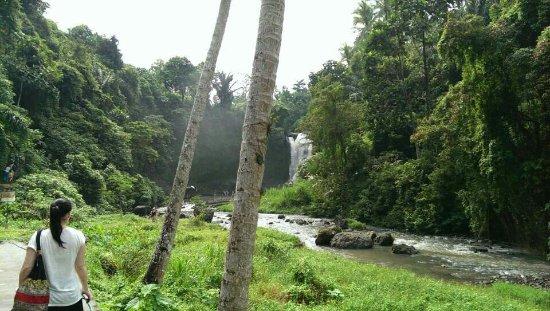 Aldi Guide Bali Private Day Tour