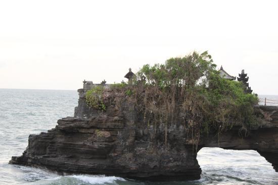 Wahana Bali Tours