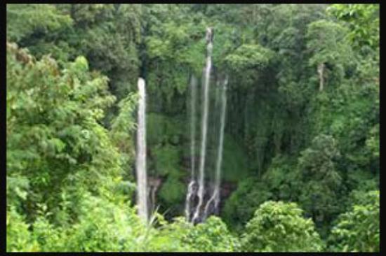 Happy Bali Tours