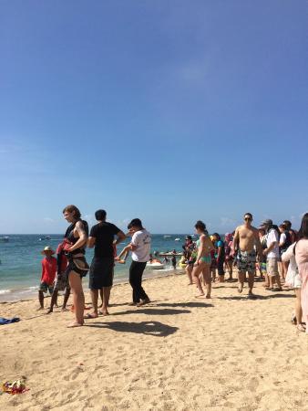 Ciwa Sempurna Dive & Water Sports