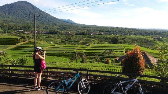 Bali by Pedals