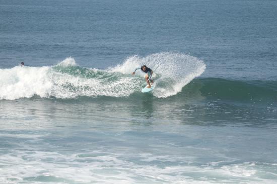 Surf Melali
