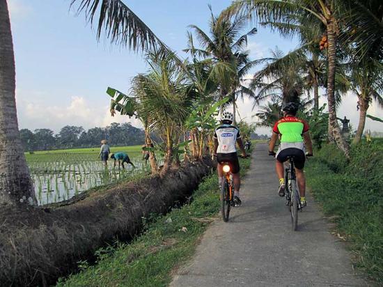 Bali Bike Hire