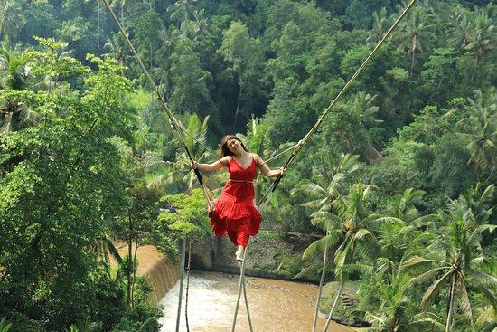 Rio Bali Tours