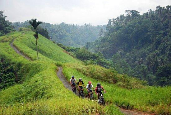 Bali Eco Tours
