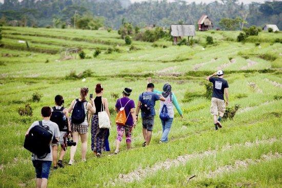 Bali Countryside