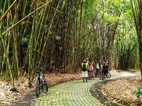 Bali Hai Adventure Tours