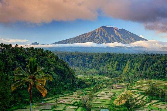 Bali and Car - Rent a car with driver