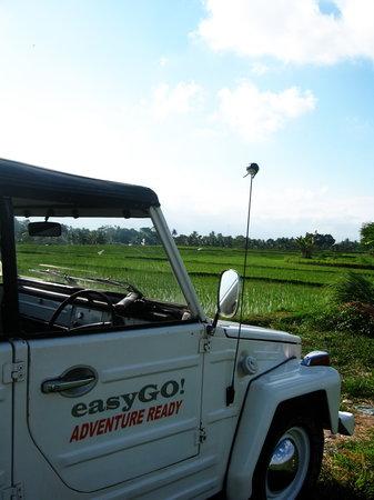 easyGO Classic Jeep Adventure Day Tour