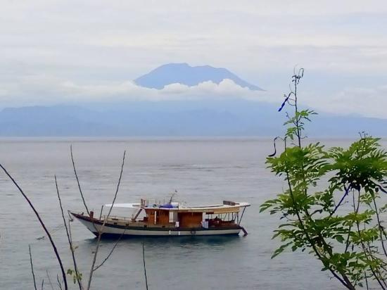 Indo Iris Charters - Day Tours