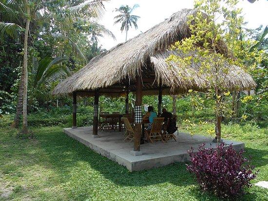 Baru Organic Adventure
