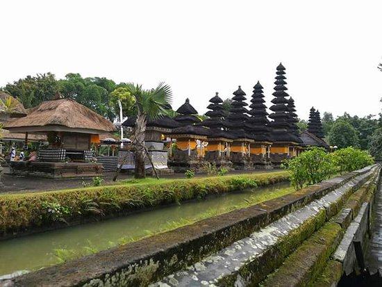 Erica Bali Tour