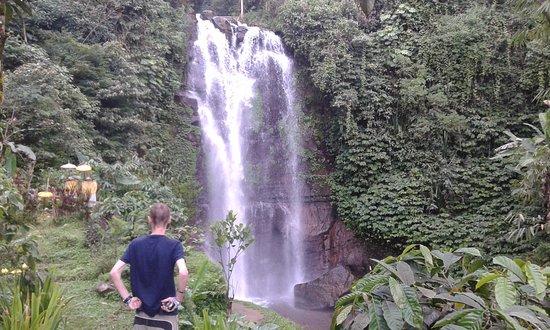 Munduk Bali Tour and Transportation Service