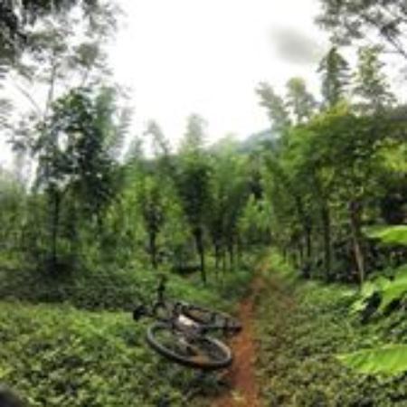 Tabanan Cycling