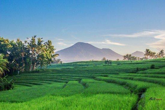 Bali Destiny Adventure