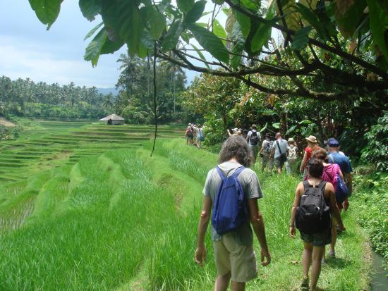 Cempaka Belimbing Cycling & Trekking